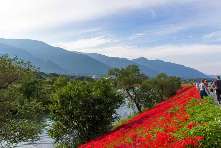 津屋川堤防