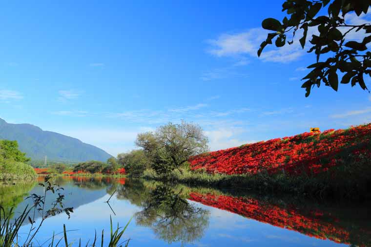 津屋川堤防