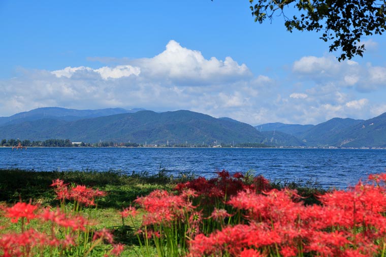 桂浜園地
