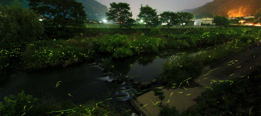 호쿠보 반딧불이 마을