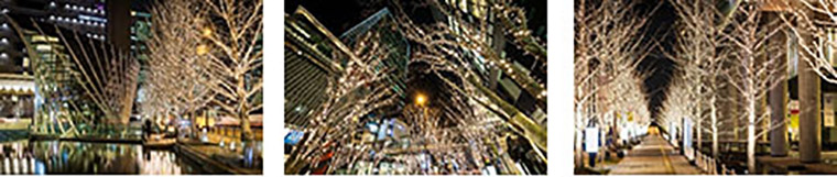 GRAND WISH CHRISTMAS 2019