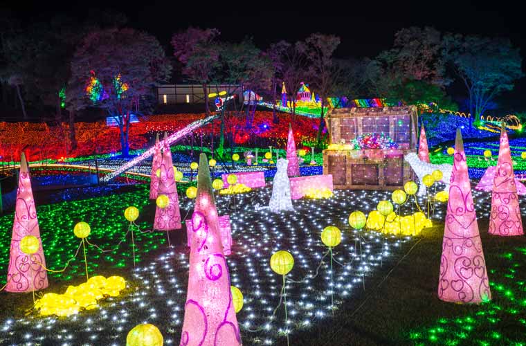 東京ドイツ村 Winter Illumination