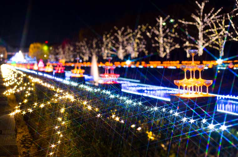 国営昭和記念公園 「Winter Vista Illumination」