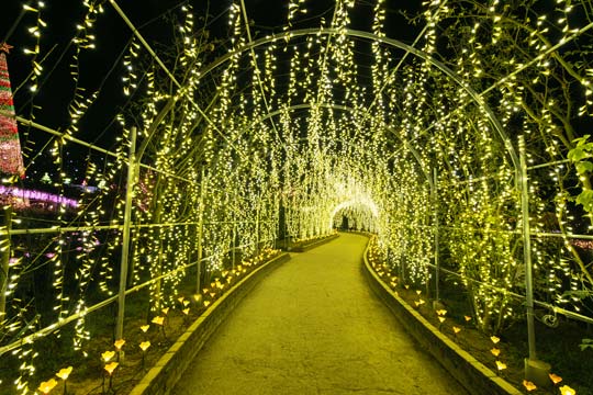 あしかがフラワーパーク「光の花の庭」