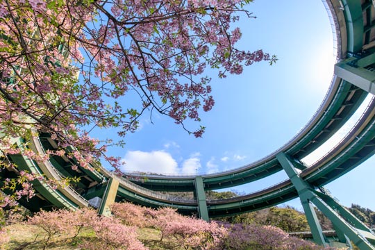河津七滝ループ橋