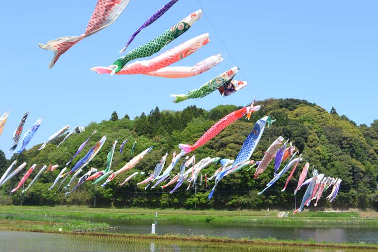 Gwにおすすめ 全国の鯉のぼり祭り イベント19選 楽天トラベル