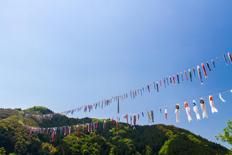 鯉のぼりの川渡し