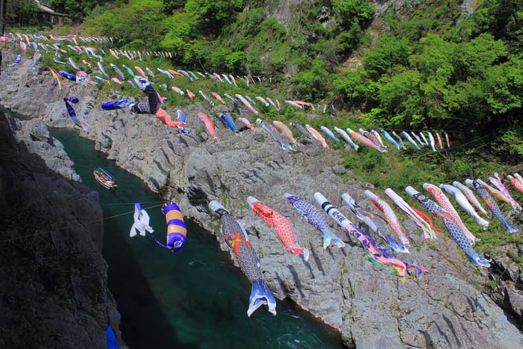 鯉のぼり 秘境大歩危峡を泳ぐ