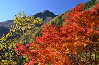 中津峡