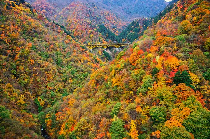滝川渓谷・雁坂大橋