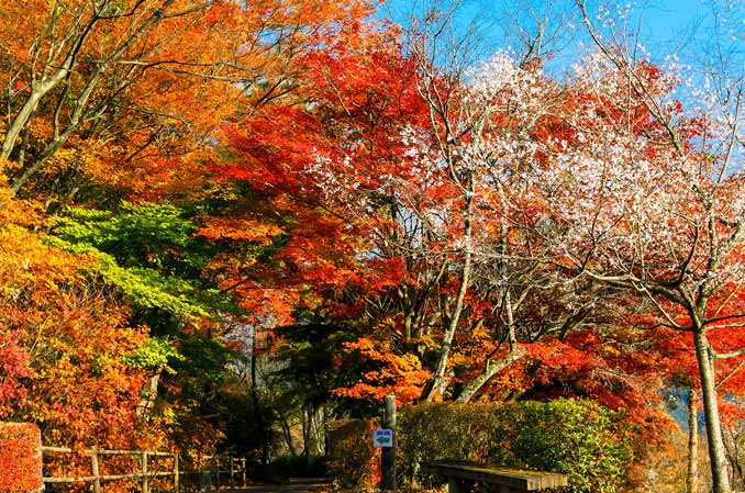 城峯公園