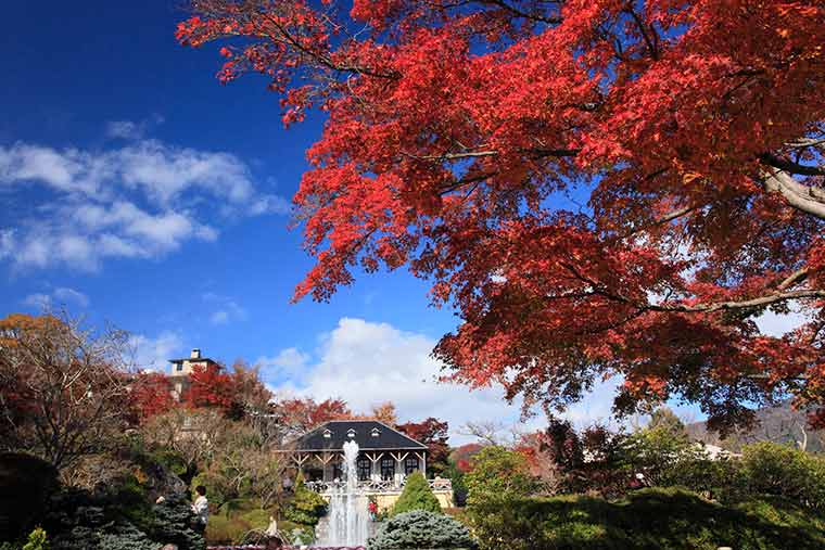 箱根強羅公園