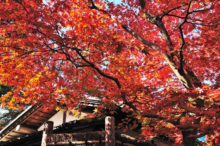 箱根美術館