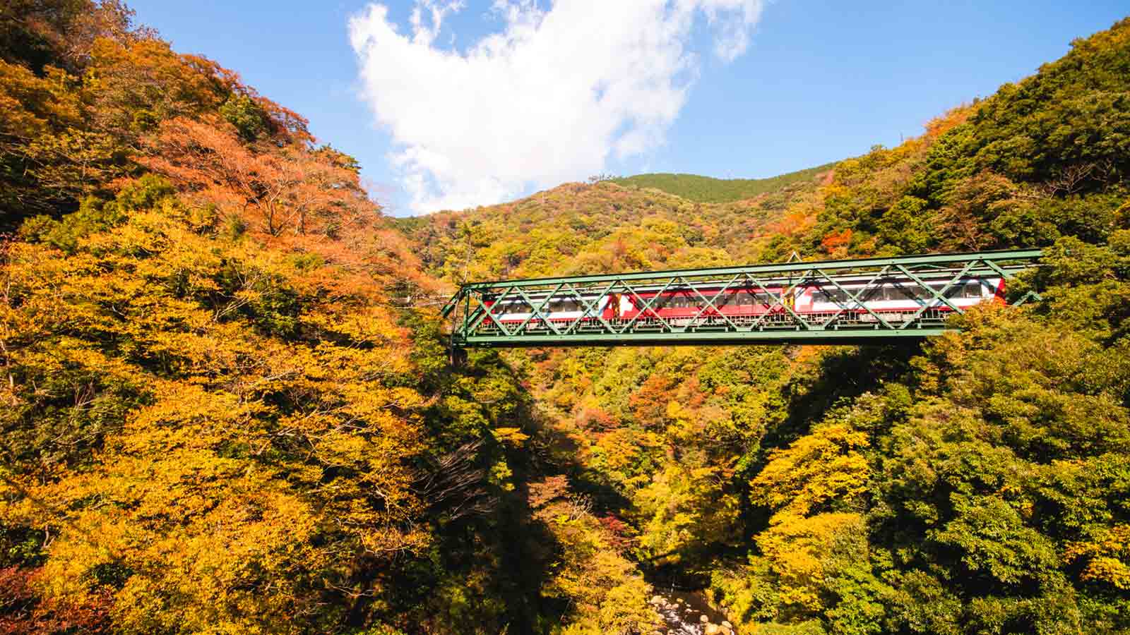 Hakone: Rekomendasi Tempat-tempat Populer untuk Menyaksikan Momiji