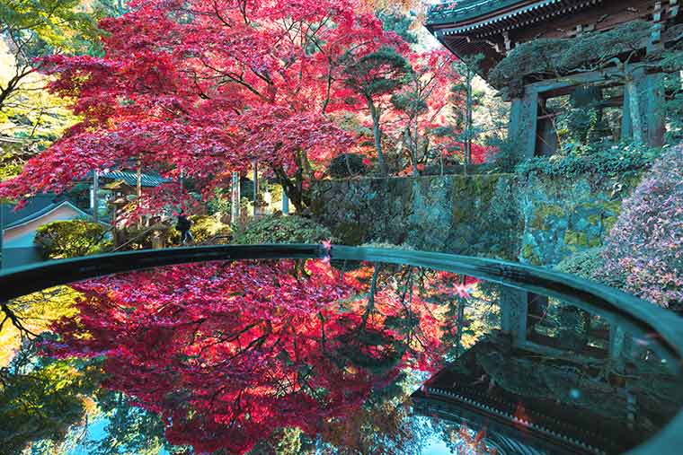 大雄山最乗寺