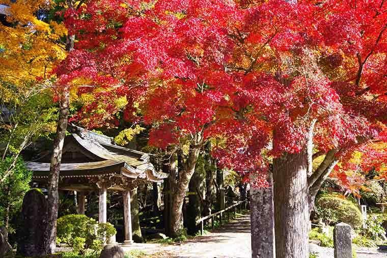長安寺