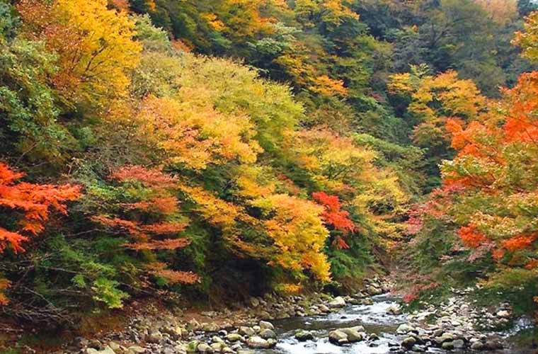 箱根湯本