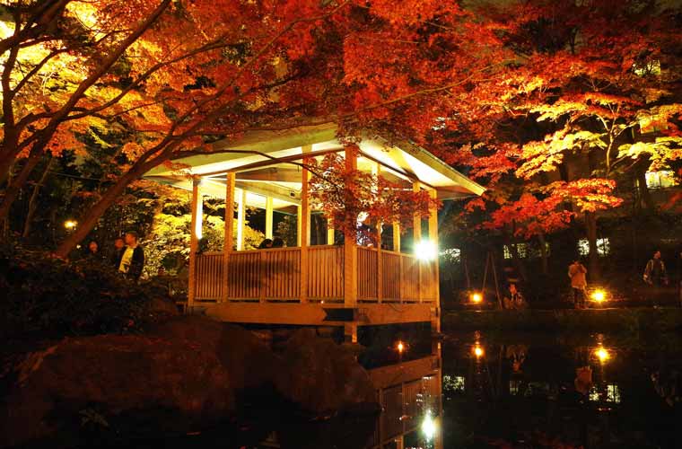 大田黒公園