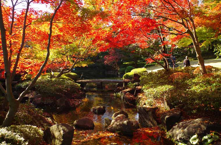 大田黒公園
