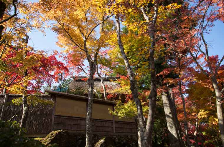 箱根美術館