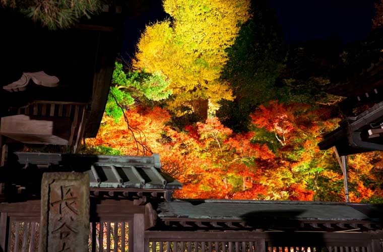 長谷寺