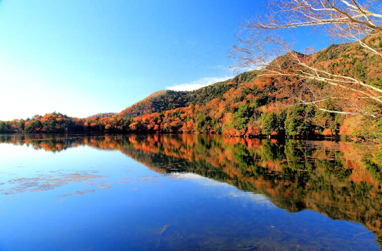 湯ノ湖