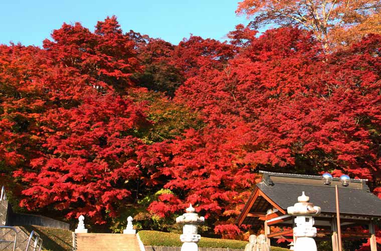 永源寺