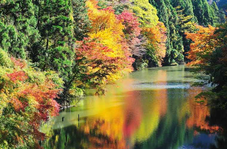 亀山湖