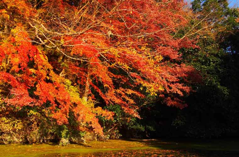 亀山湖