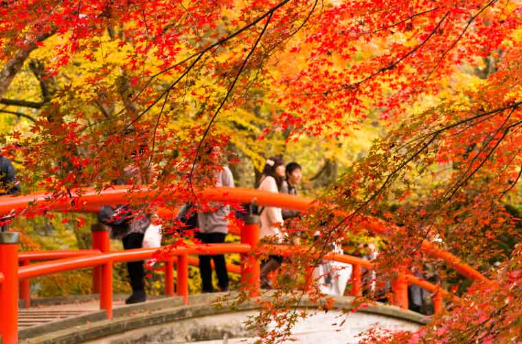 河鹿橋(伊香保温泉)