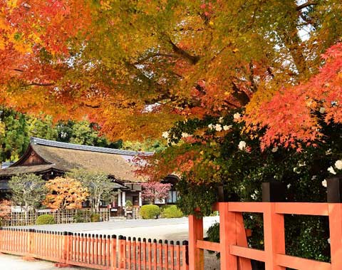 上賀茂神社