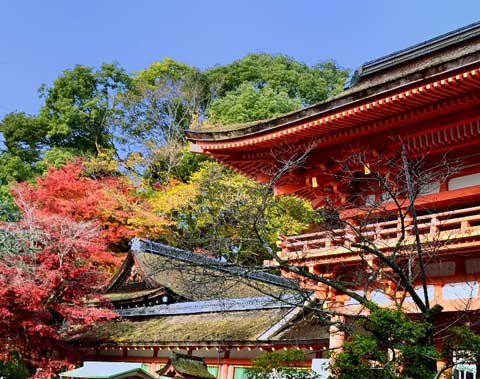上賀茂神社