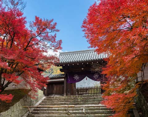 曼殊院