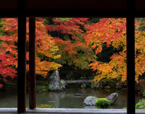 蓮華寺