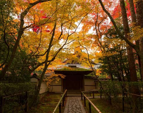 大徳寺