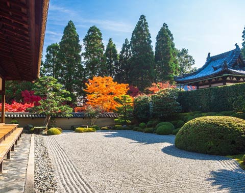 大徳寺