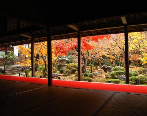 圓光寺