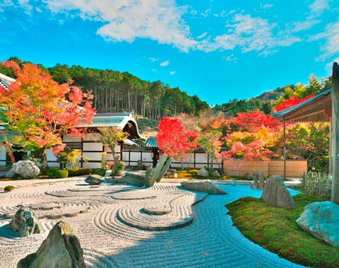 圓光寺