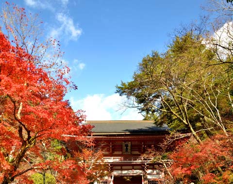 鞍馬寺