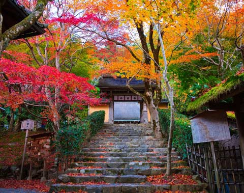 寂光院