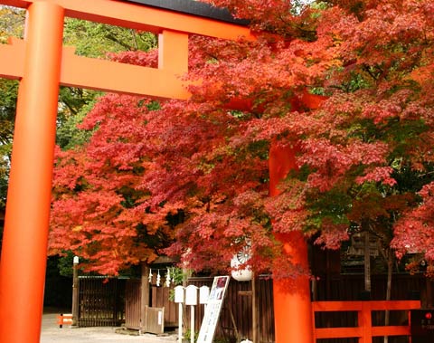 下鴨神社