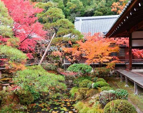 永観堂 (禅林寺)