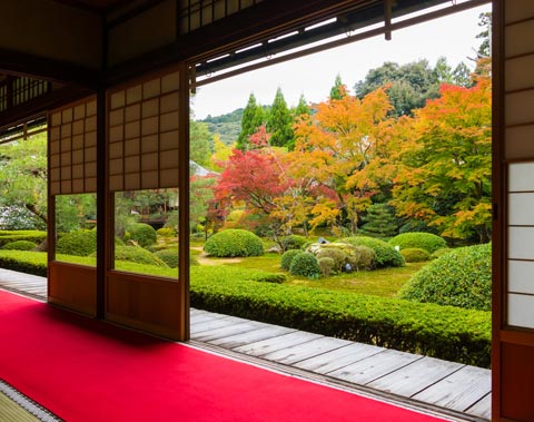 泉涌寺