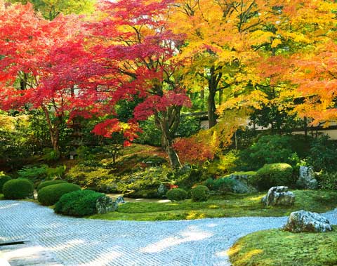 泉涌寺
