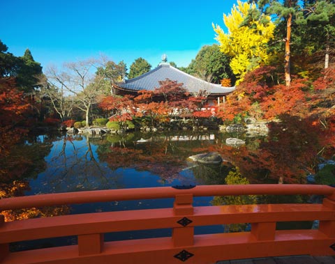 醍醐寺