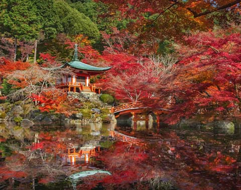 醍醐寺