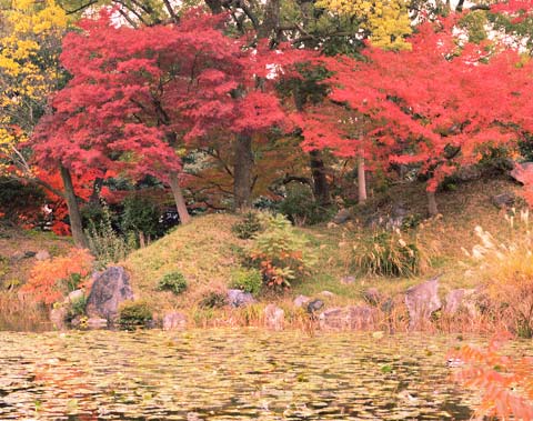 渉成園