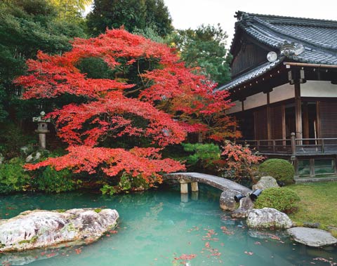 青蓮院門跡