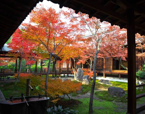 建仁寺