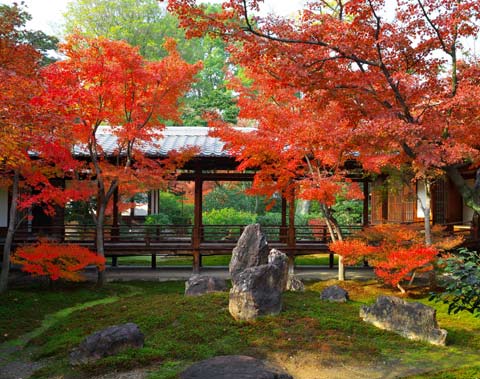 建仁寺